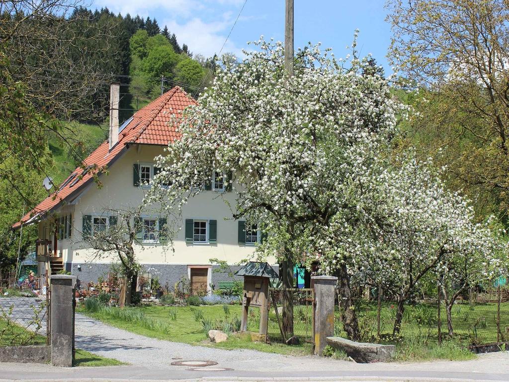 דירות Steinach  Haus Am Bach מראה חיצוני תמונה